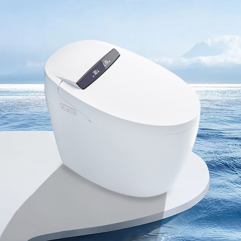 XSIX Smart Bidet Elongated Toilet Bidet, Warm Water Clear, Auto Flush